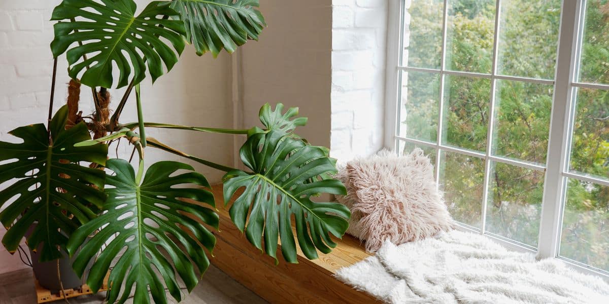 Discover the secret to creating the coziest atmosphere at home!
