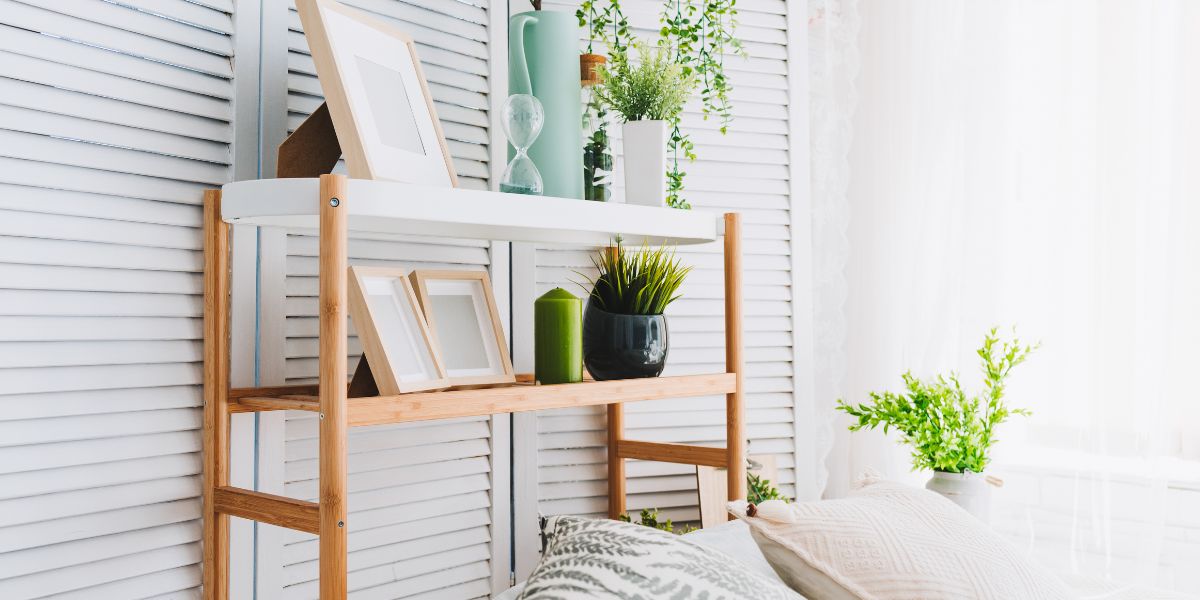 Unleash your inner green thumb: 6 simple decorating tips to elevate your plants