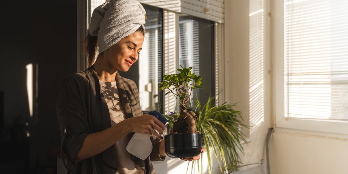 Is your green thumb too wet or too dry? Decoding houseplant watering woes!